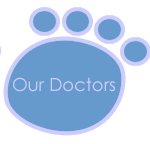 Dr. Moneim, Dr. Springbett, Dr. Amer