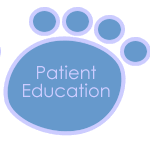 Dental Implants, Cosmetic Dentristry, Invisaling Treatment in Los Gatos